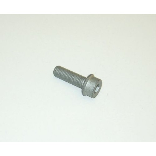 Inbusbout VW/Audi/Skoda M10X1,25X30